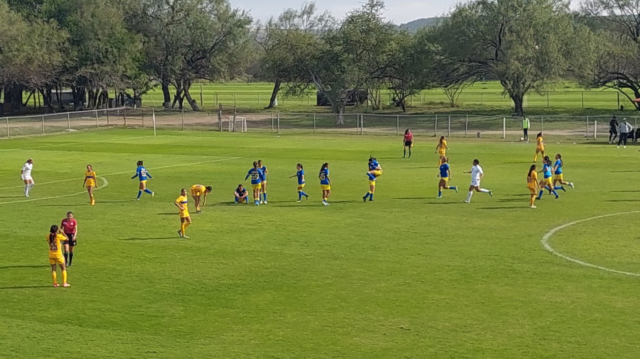 Culmina sueño de Tigres Femenil Sub-19; pierden ante América