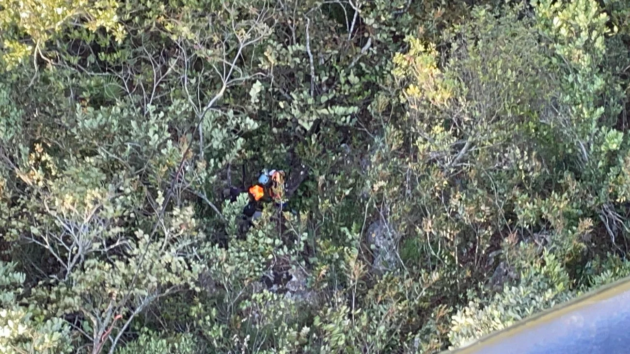 Cae un paracaidista entre árboles en Monterrey