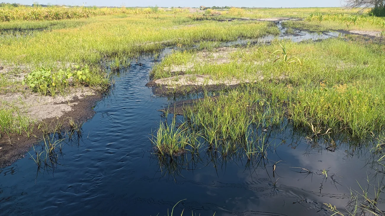 Detectan nueva fuga de petróleo en ducto de Madero-Cadereyta