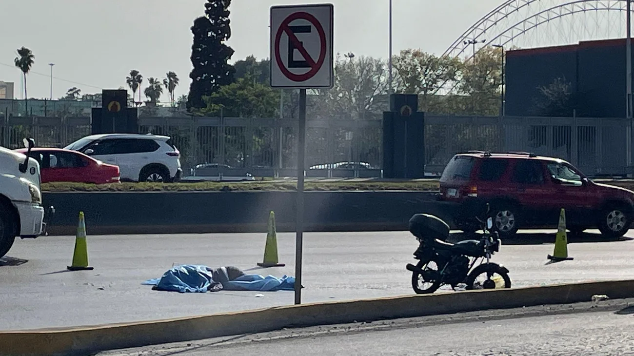 Whats_App_Image_2025_02_07_at_4_02_28_PM_1_37454508d4