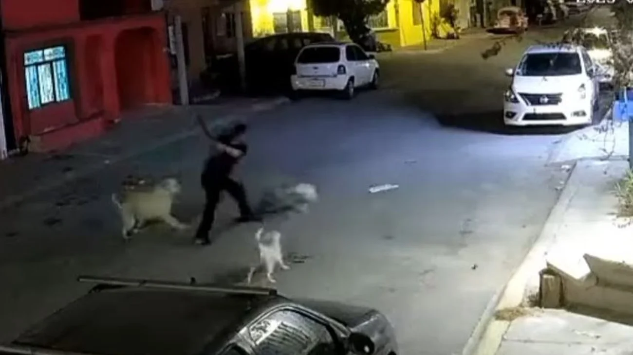 Piden justicia por perrita golpeada en Ramos Arizpe