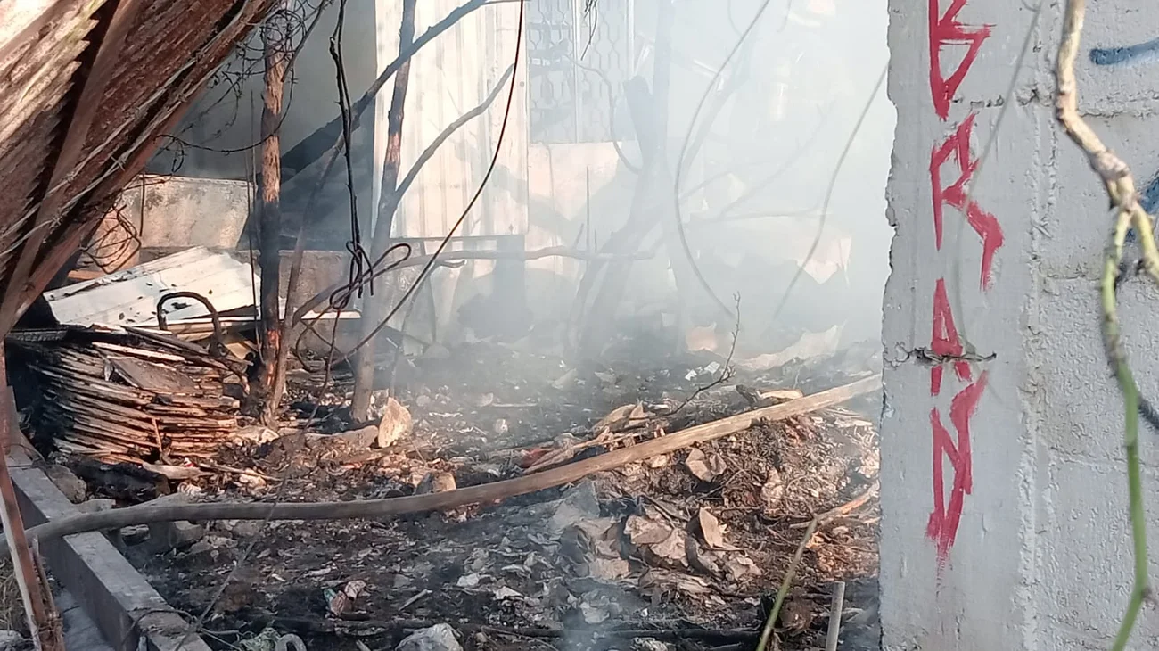 Whats_App_Image_2025_02_11_at_5_45_00_PM_ab67dc2b6a