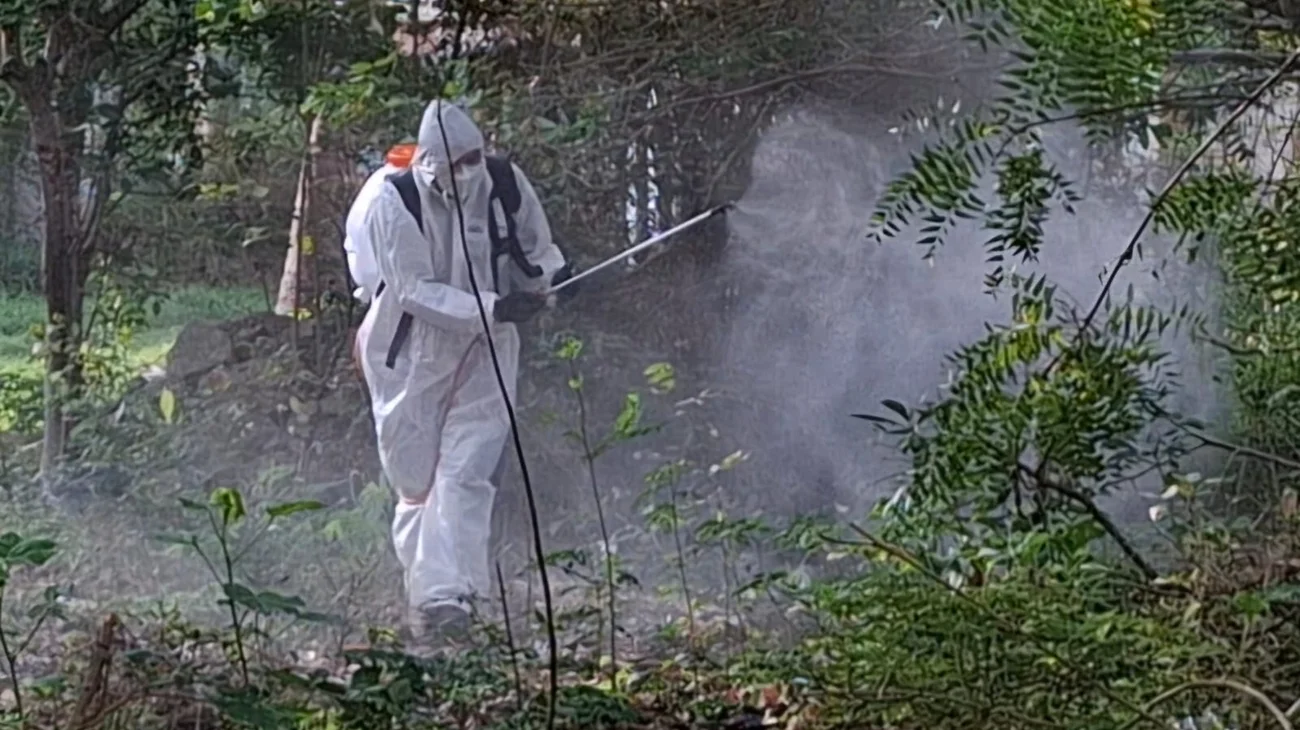 Suben los casos de dengue al sur de Tamaulipas