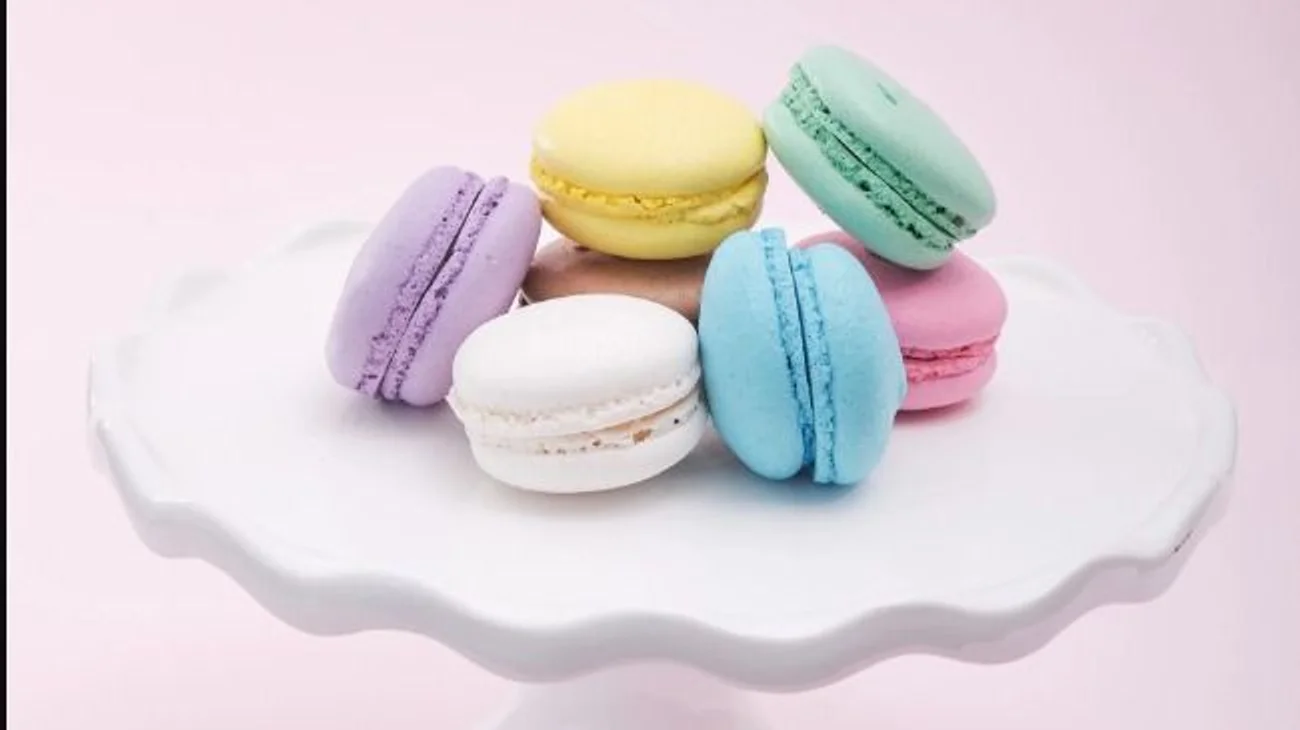 Whats_App_Image_2025_03_18_at_5_44_53_PM_4a41184c4f