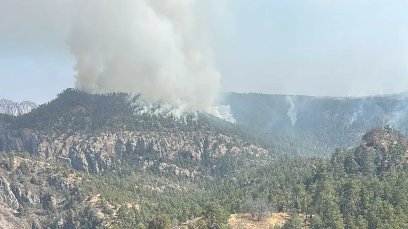Controlan incendio forestal en Maderas del Carmen, Coahuila