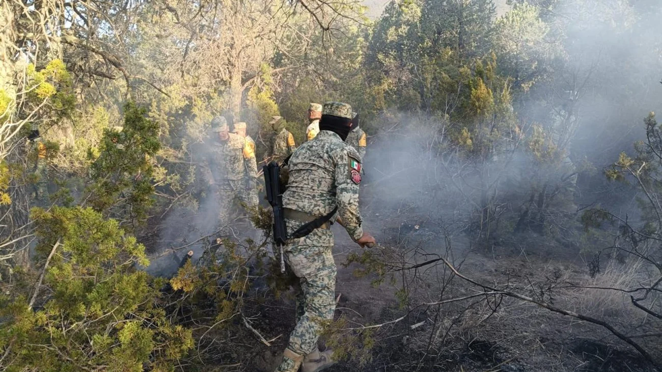 Controlan incendio forestal en 'El Diamante' 