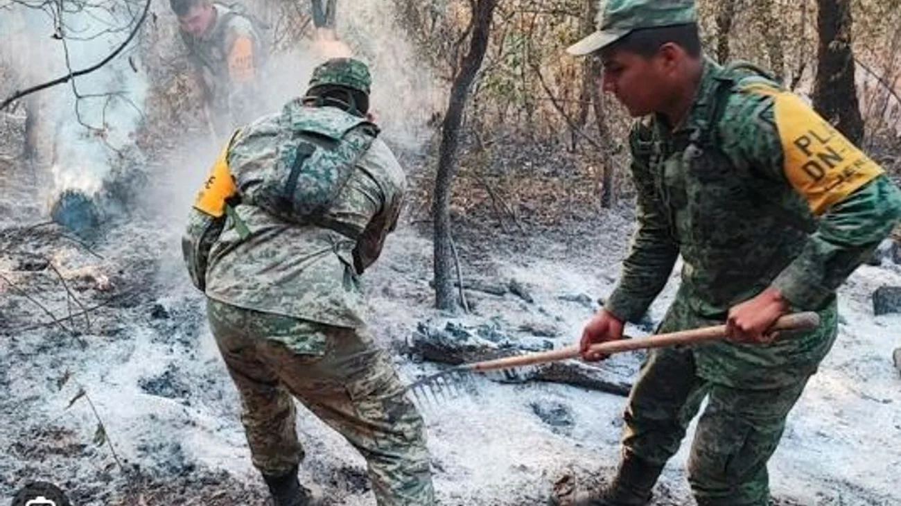 Fuego arrasa con 700 hectáreas en Villa de Casas