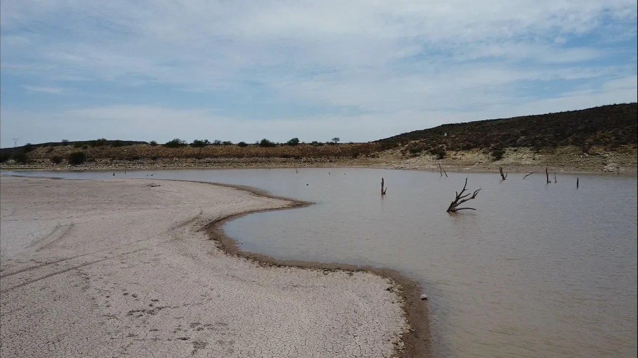 Se muere de sed la presa de la Rosa de General Cepeda