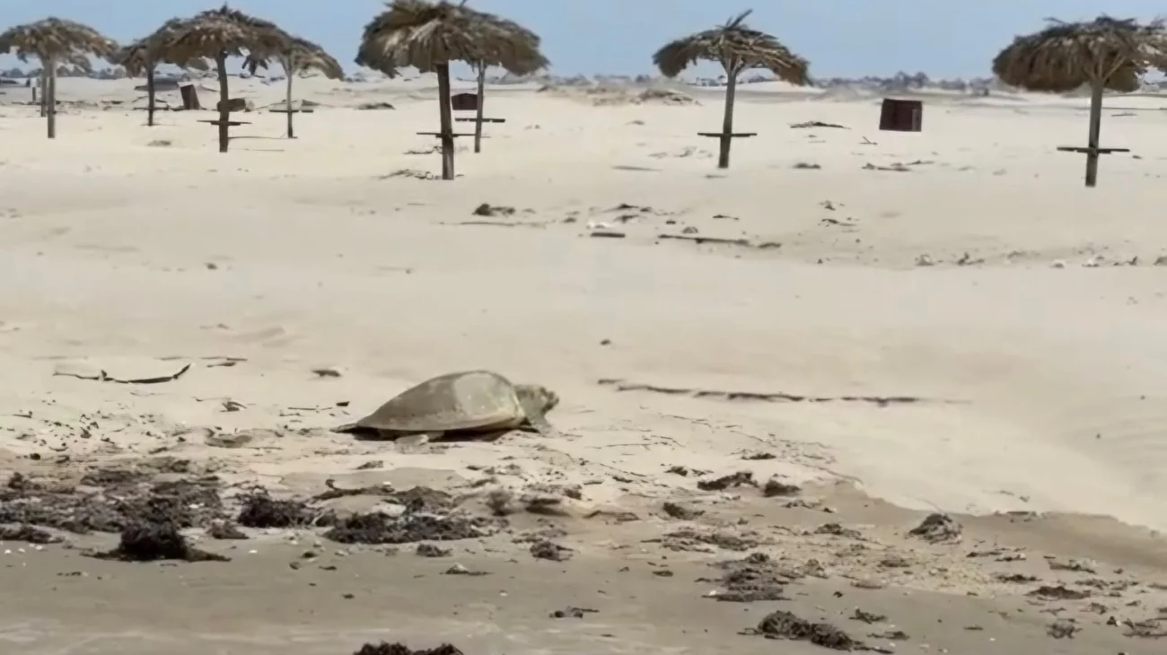 Whats_App_Image_2025_04_23_at_7_10_10_PM_d8d7e4cd6f