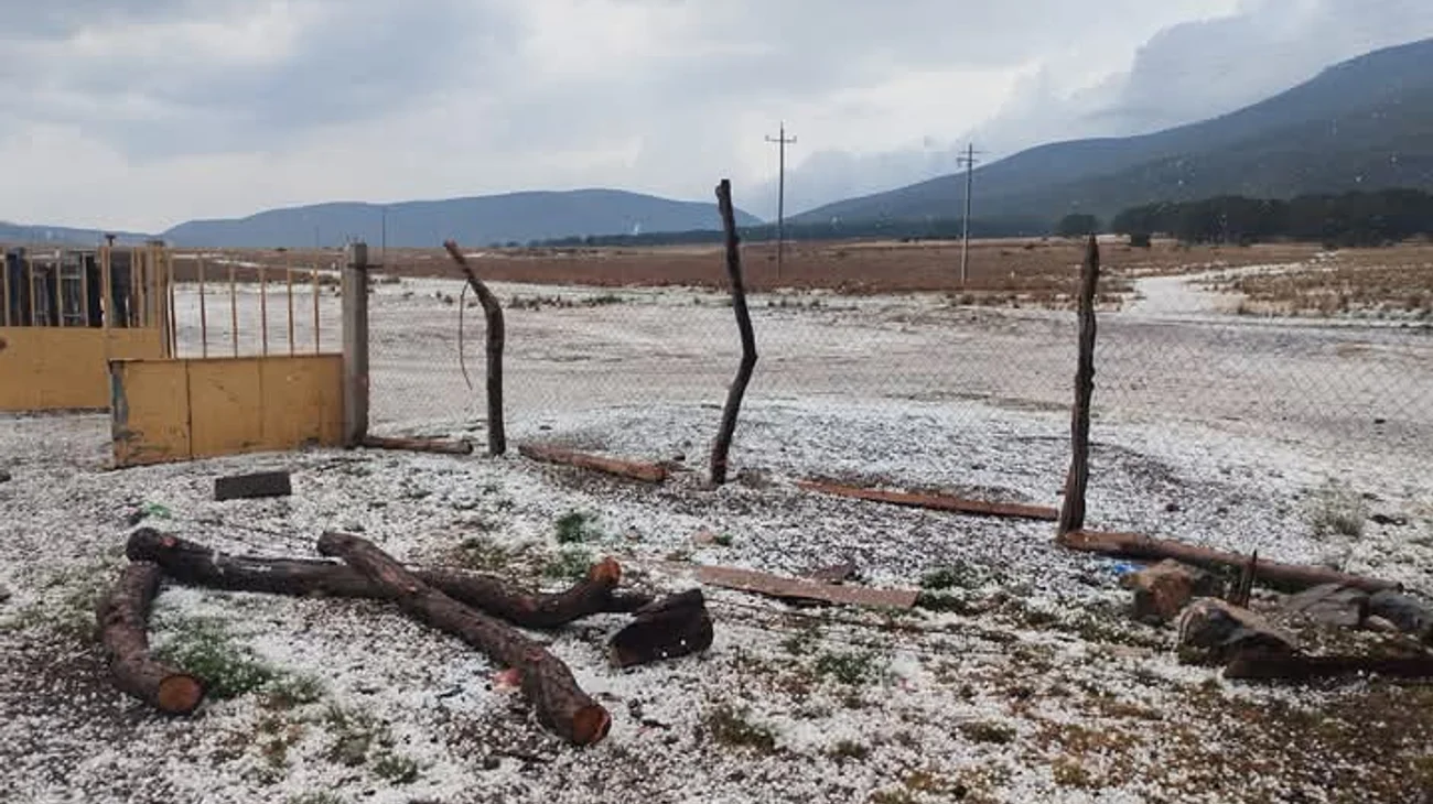 Whats_App_Image_2025_04_26_at_5_02_05_PM_0f1c715e0a