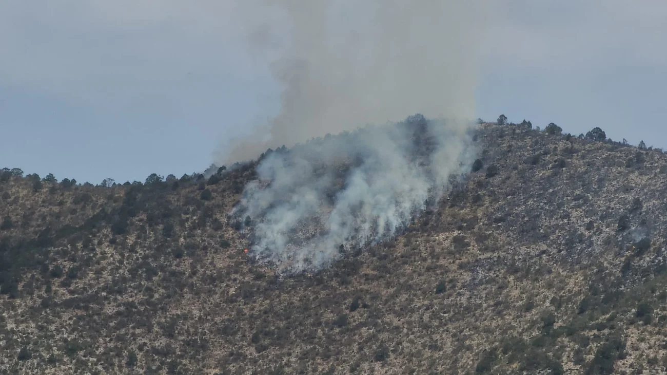 Whats_App_Image_2025_04_29_at_6_57_29_PM_0a013b1ede