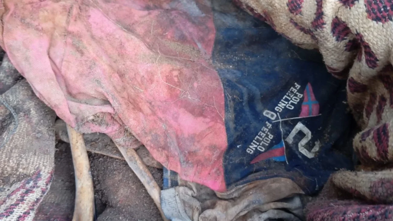 Whats_App_Image_2025_05_01_at_2_07_11_PM_518251210e