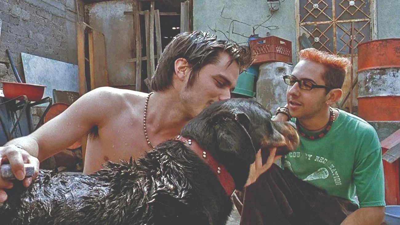 Whats_App_Image_2025_05_07_at_10_41_48_PM_8cfeddd0e6