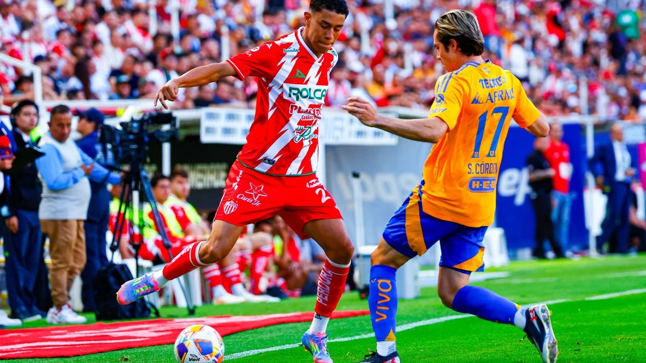 Whats_App_Image_2025_05_08_at_8_20_29_PM_37799be95f