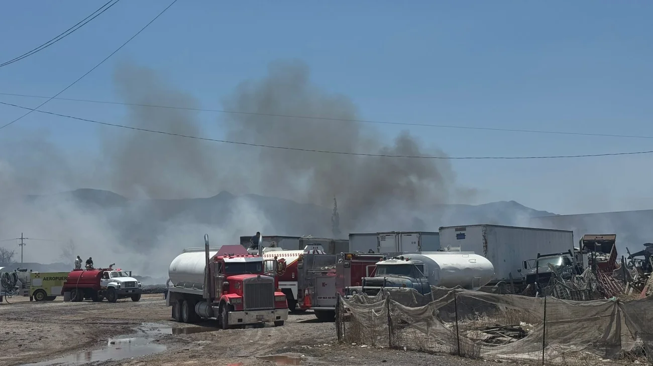 Whats_App_Image_2025_05_15_at_2_49_16_PM_1_163a8a9589