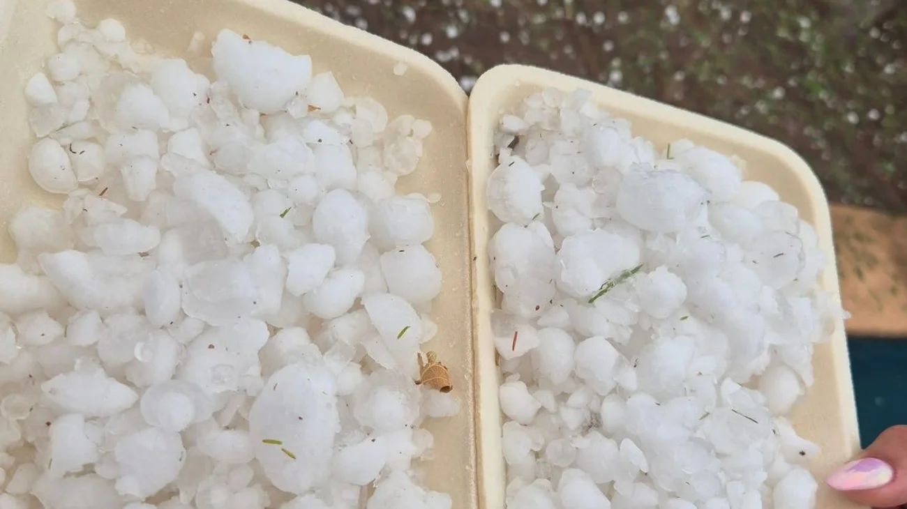 Whats_App_Image_2025_05_18_at_8_15_25_PM_a4972dfa2d