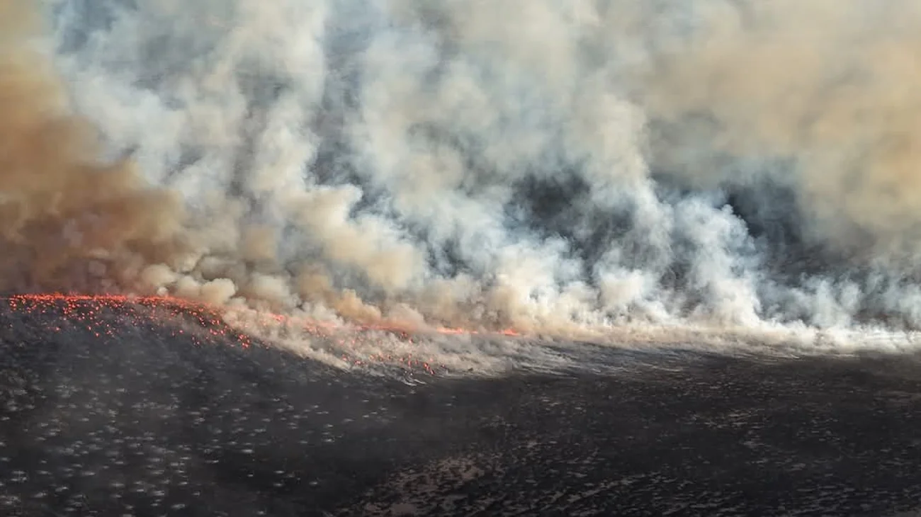 Controlan siniestro en incendio forestal en rancho Los Ángeles