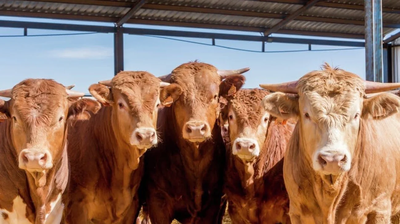Habilitan cuarentenaria en Acuña ante falta de apertura