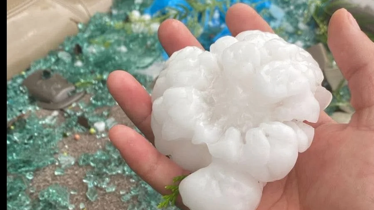 Whats_App_Image_2025_05_21_at_7_04_06_PM_a41424cc60