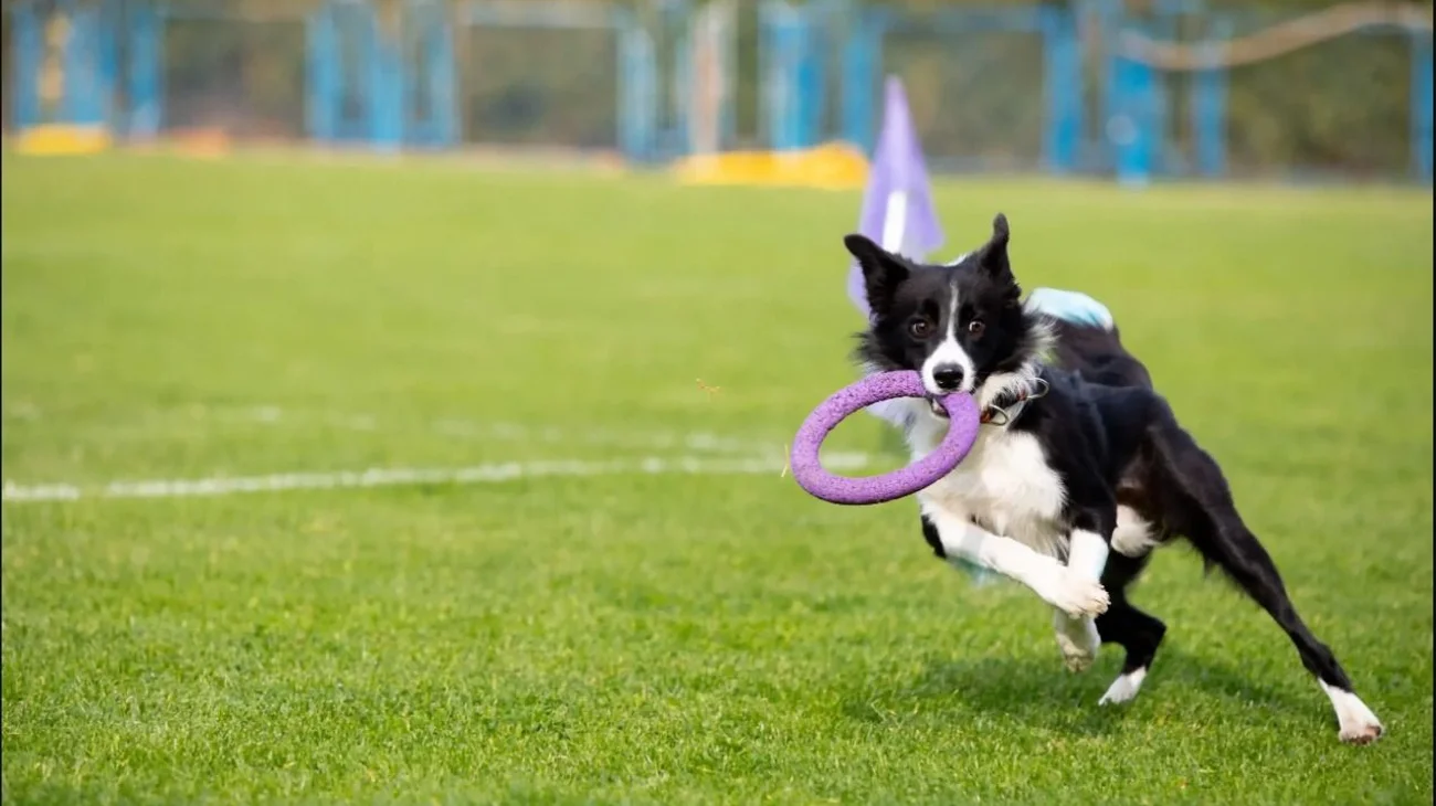 Whats_App_Image_2025_05_23_at_2_16_26_PM_1_4670353b69