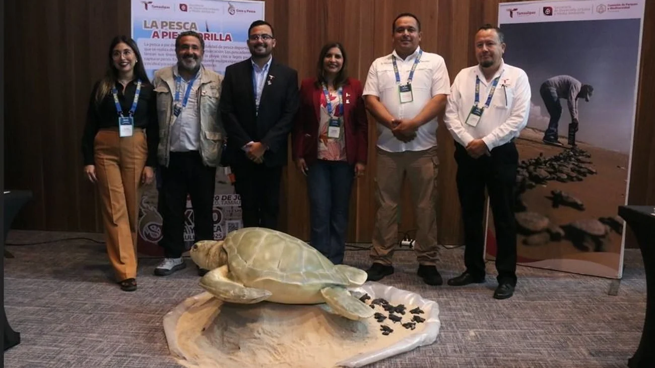 Whats_App_Image_2025_05_26_at_5_39_04_PM_30b08b59e7