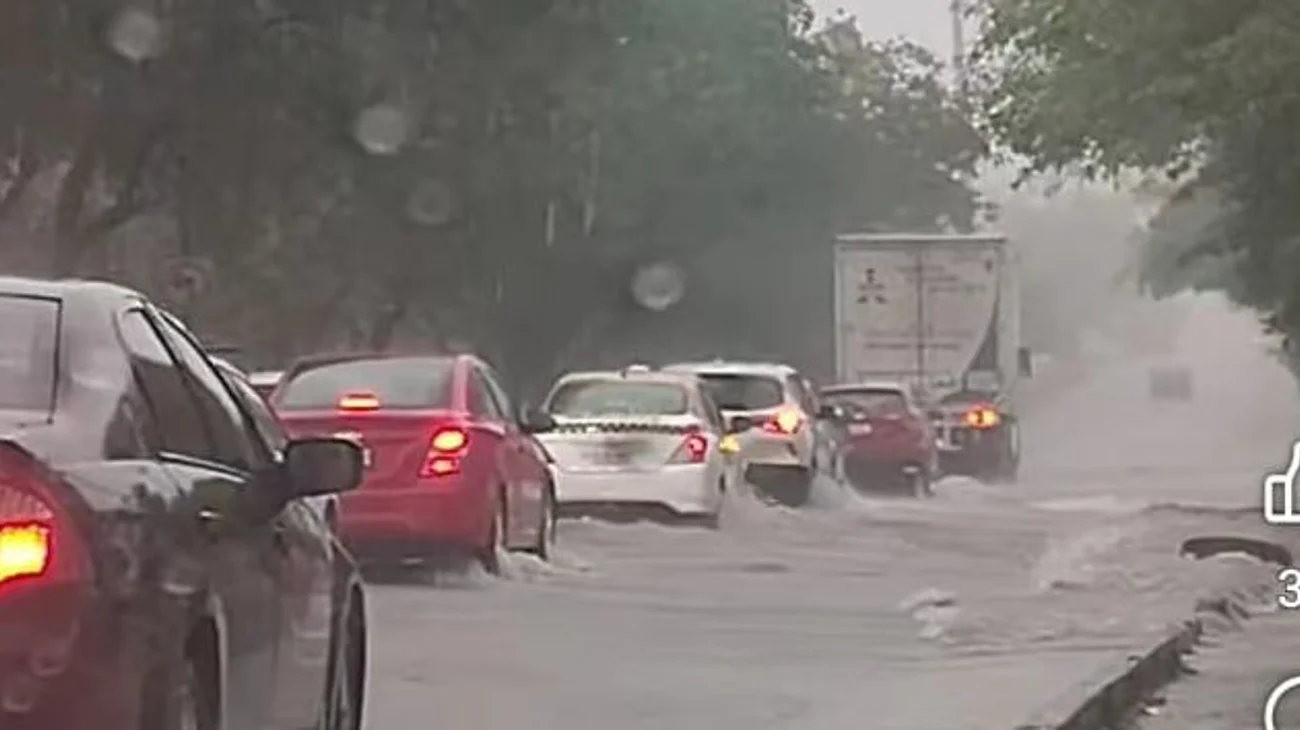 Whats_App_Image_2025_05_30_at_5_19_29_PM_b6d2a938b0