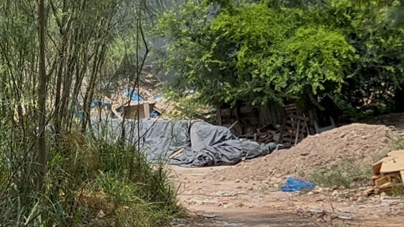 Whats_App_Image_2025_06_03_at_8_15_54_PM_ddc09889a4