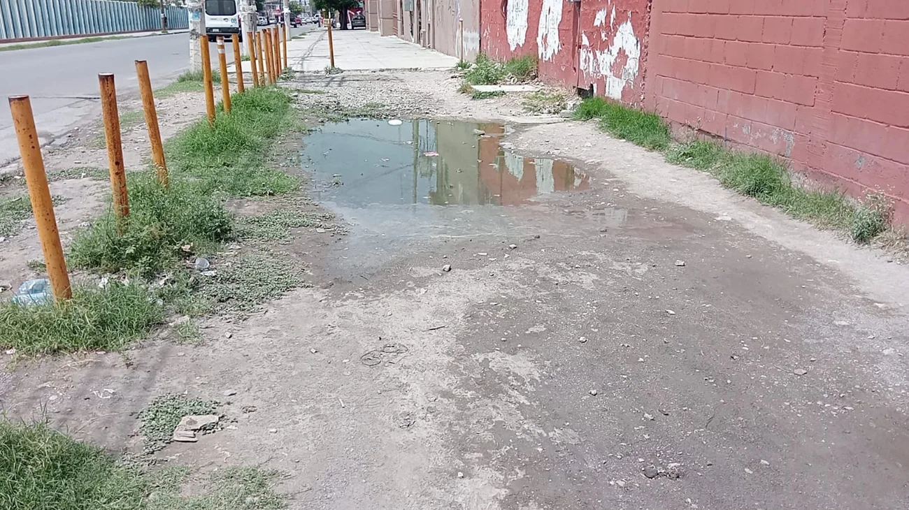 Whats_App_Image_2025_06_04_at_6_07_50_PM_cce23f95d0