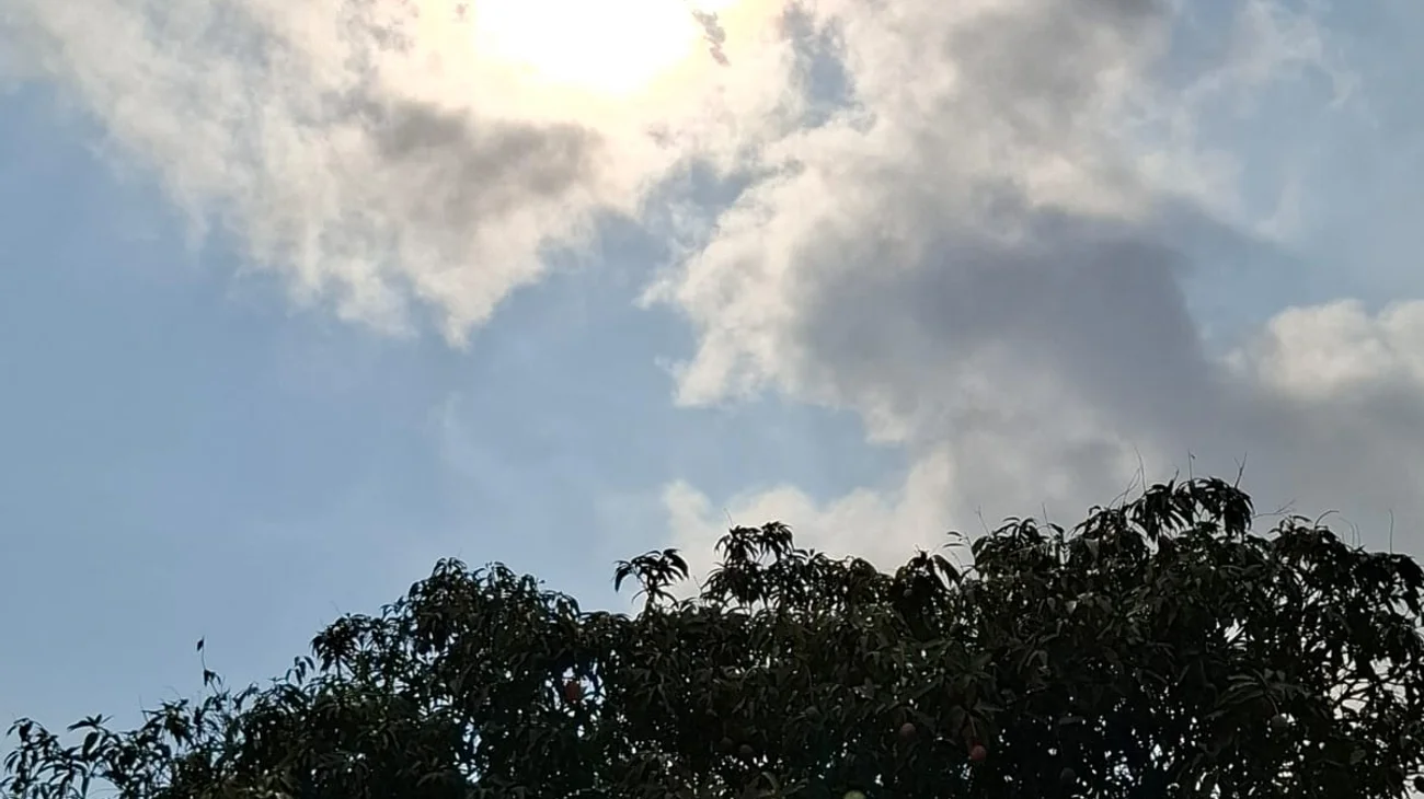 Calor al sur de Tamaulipas satura red eléctrica y genera caos