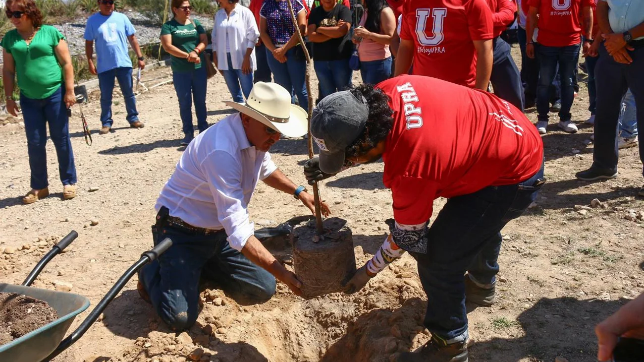 Coahuila refuerza áreas verdes con la siembra de 15 mil árboles
