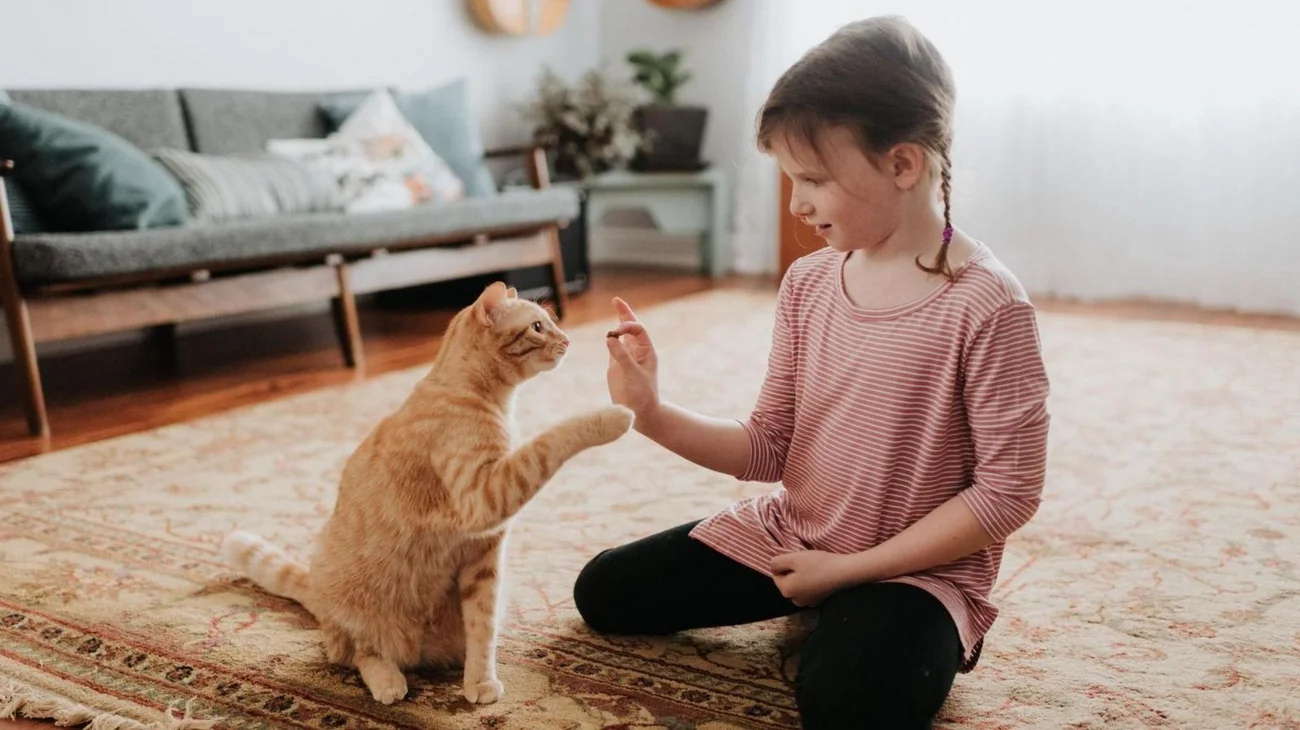 Whats_App_Image_2025_07_01_at_3_00_28_PM_473f6956bc