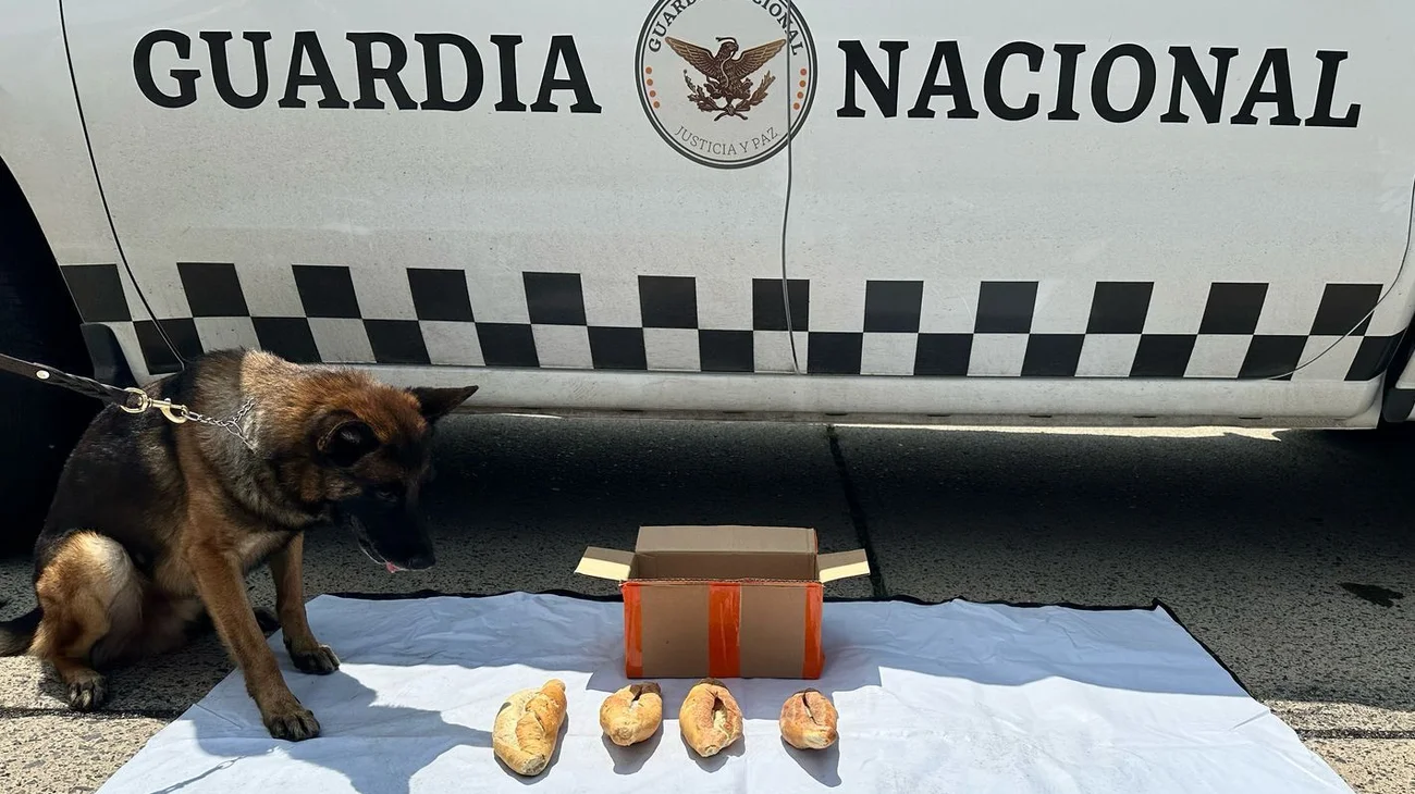 Aseguran cocaína en oculta en bolillos en Jalisco