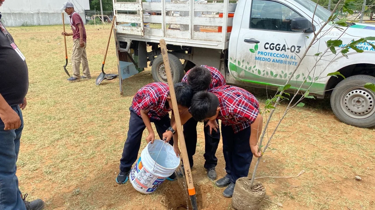 Mueren casi mitad de árboles plantados este año