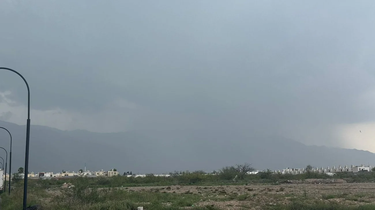 Whats_App_Image_2025_07_12_at_2_19_48_PM_c41ada327f