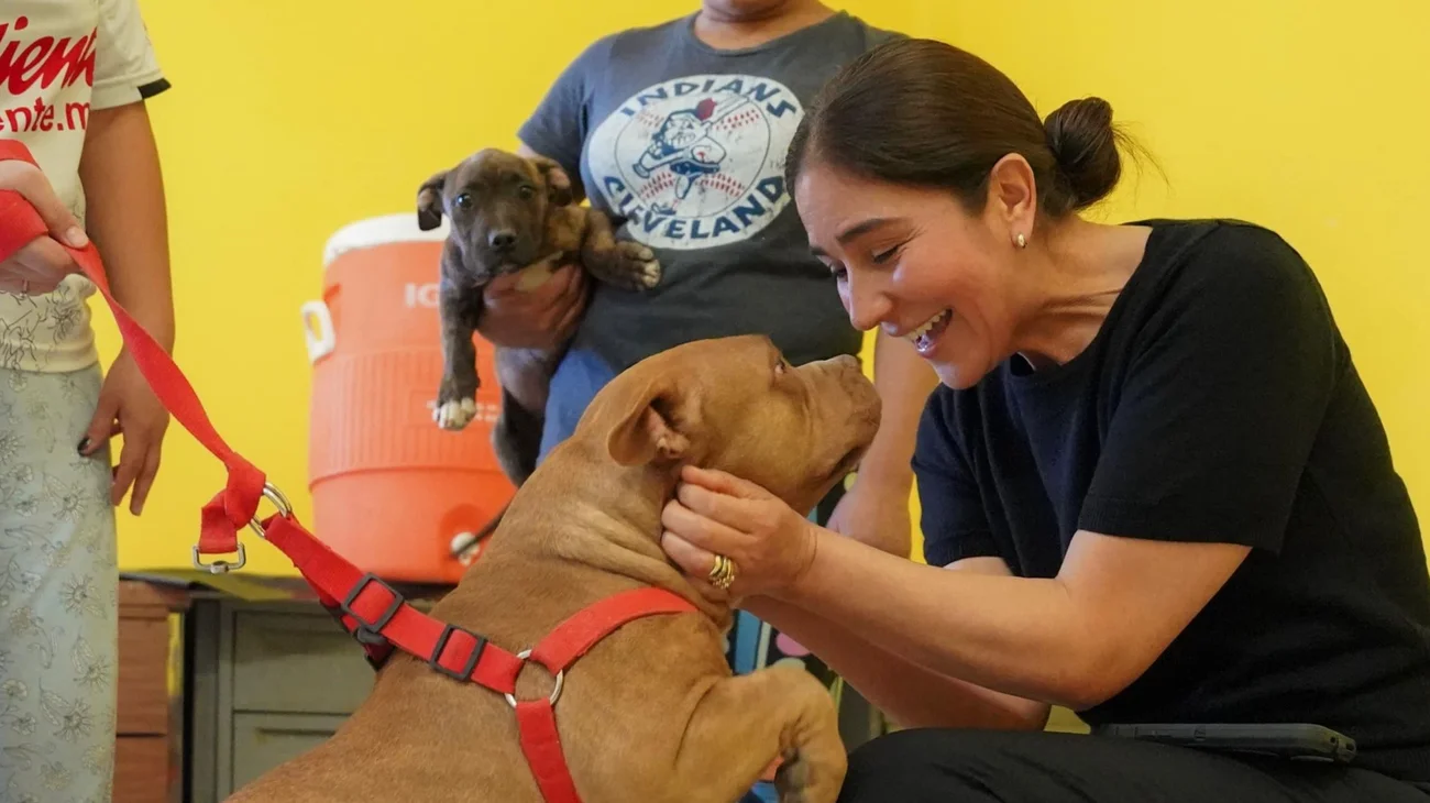 Whats_App_Image_2025_07_15_at_4_52_11_PM_fe19f8ec61