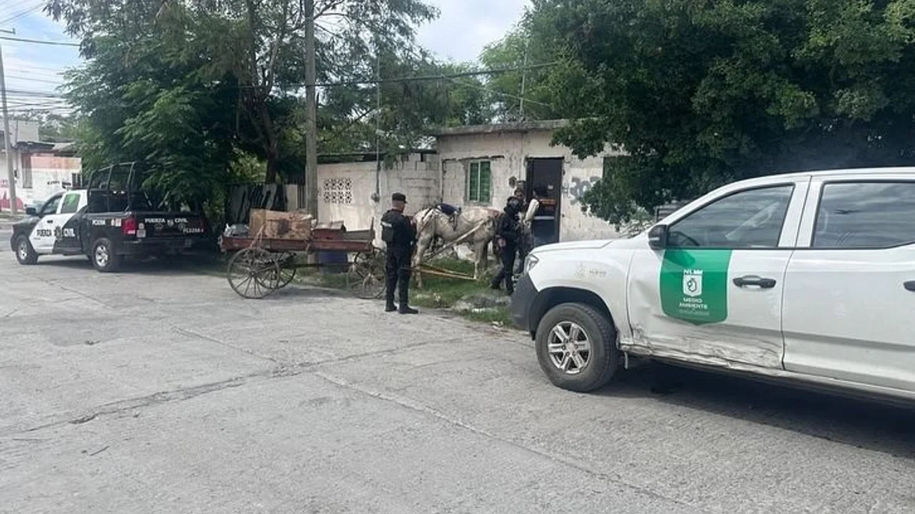 Pone Medio Ambiente alto a carretoneros por crueldad animal 