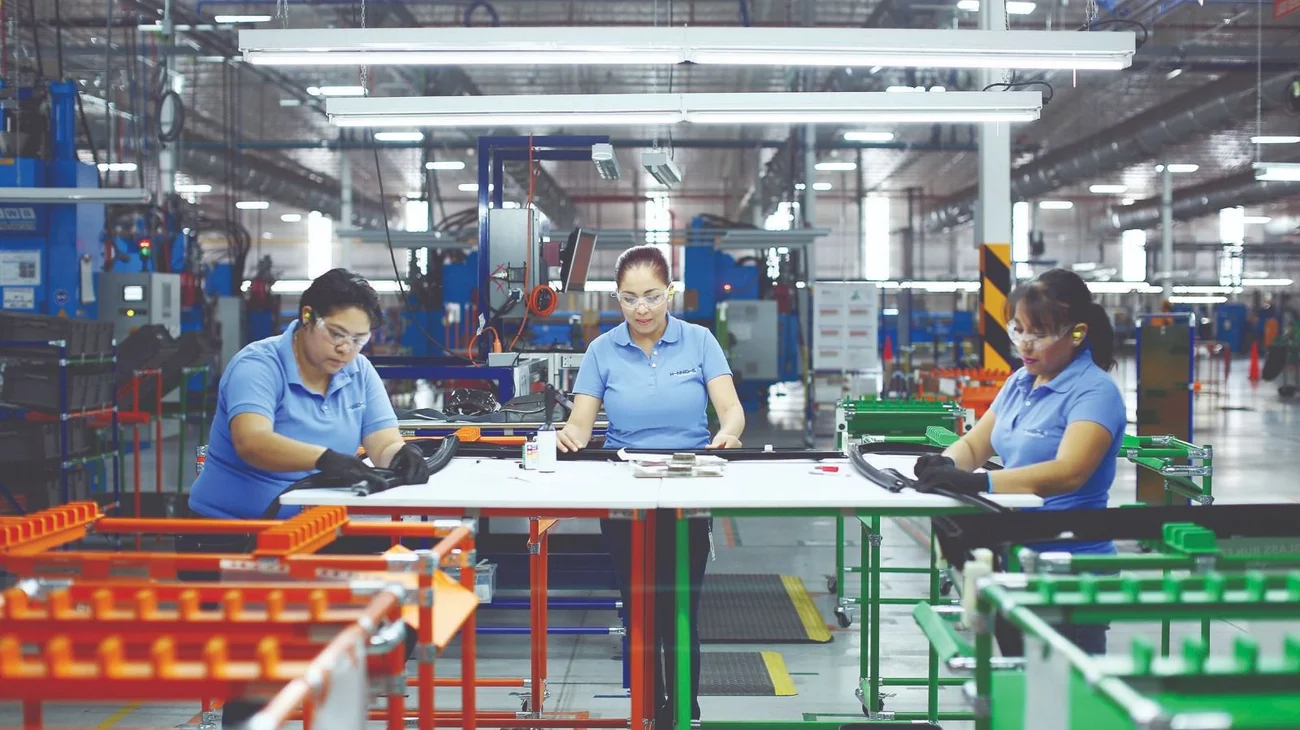 Whats_App_Image_2025_07_23_at_11_40_32_PM_6cf5feff24