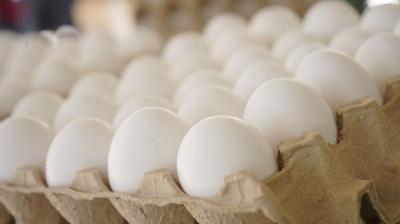 Venden huevo a mitad de precio en Mercadito Mejora tras petición