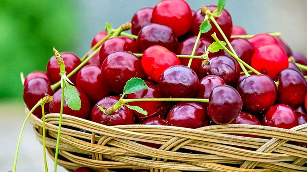 Whats_App_Image_2025_08_06_at_1_20_57_PM_1_736f23db39