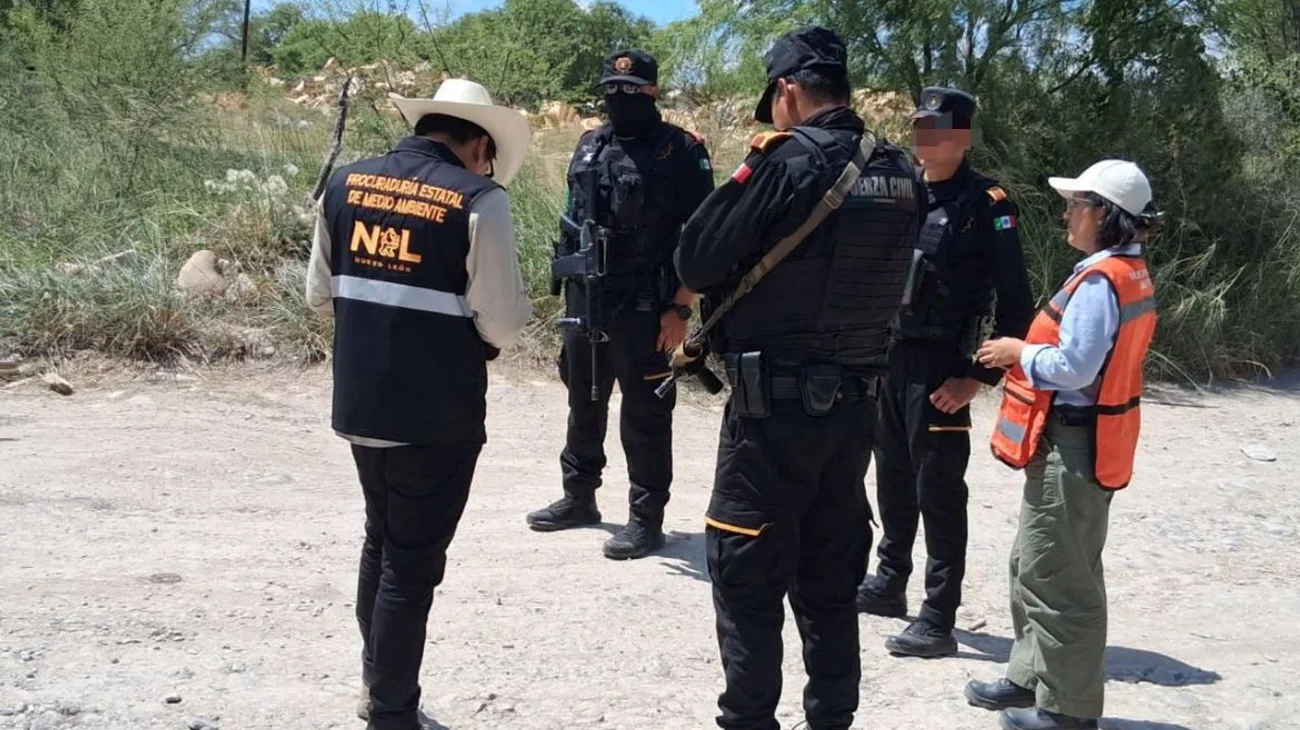 Le caen a maderera en Pesquería y la clausuran