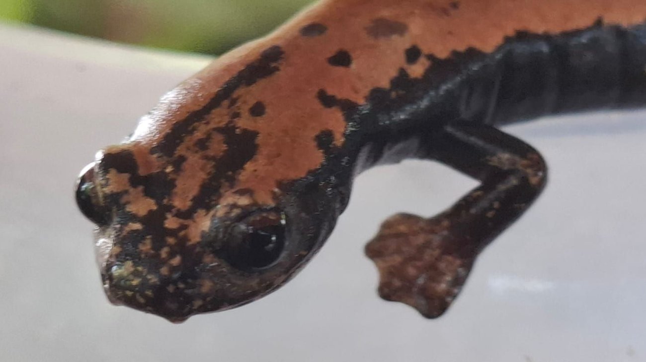 Whats_App_Image_2025_08_14_at_7_49_34_PM_9b349cbd0e