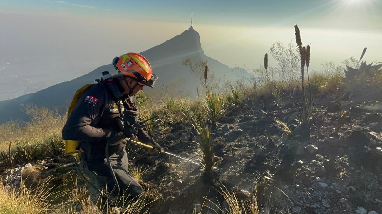 Whats_App_Image_2025_08_17_at_11_49_03_AM_c07a677e78