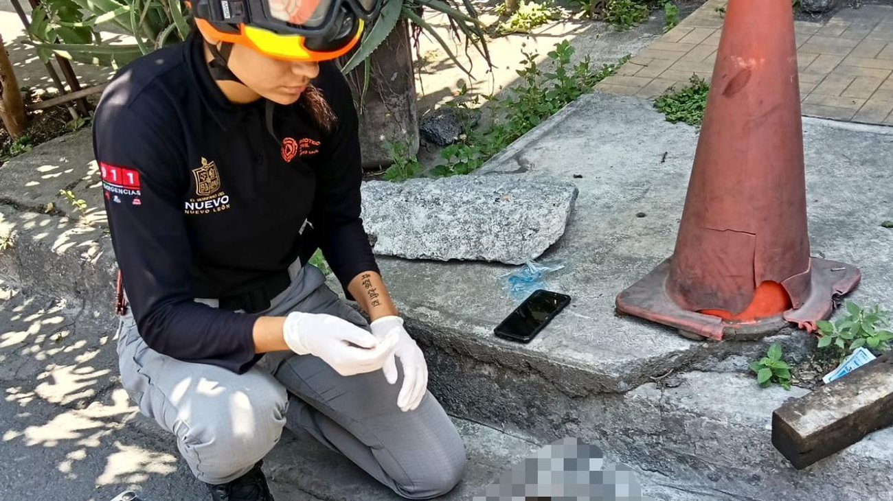 Atropellan a hembra tlacuache y muere con dos de sus cías