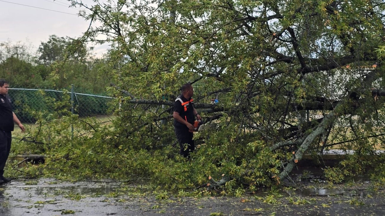 Lluvias y vientos en Montemorelos derriban árboles y techos