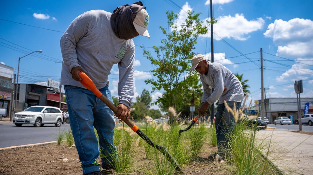 Plantarán casi 4,000 árboles en andador verde en Juárez