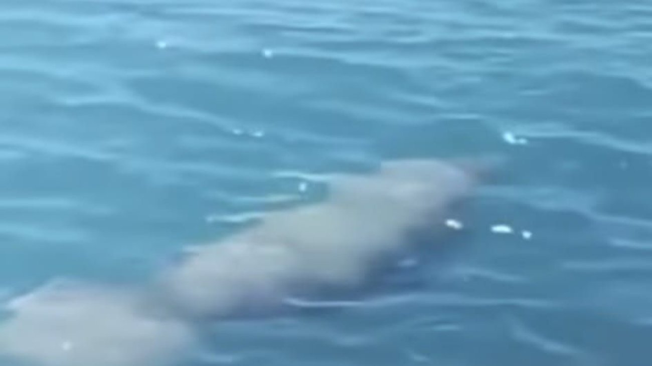 Whats_App_Image_2025_08_31_at_4_36_27_PM_c73eb6bd0a