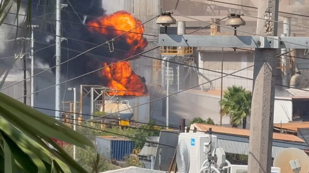 Clausura Profepa área incendiada de Zinc Nacional