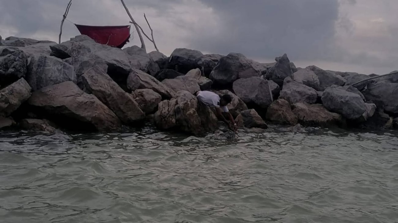 Localizan cuerpo flotando en rompeolas de Playa Miramar