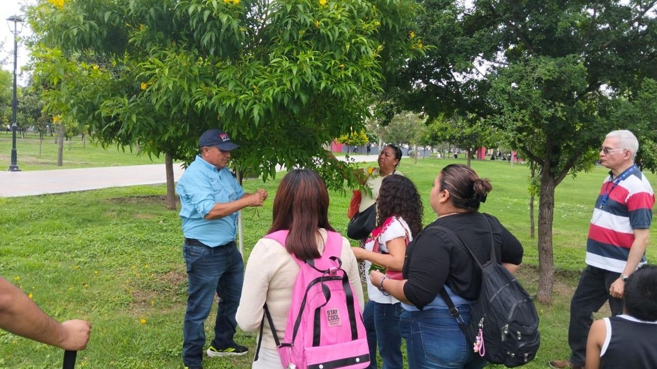Realiza Monterrey recorrido de arbolado en la Alameda
