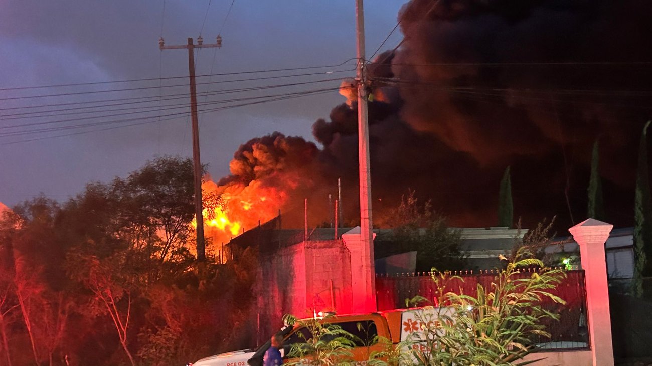 Whats_App_Image_2025_09_14_at_7_23_40_PM_1_c21d7cb577